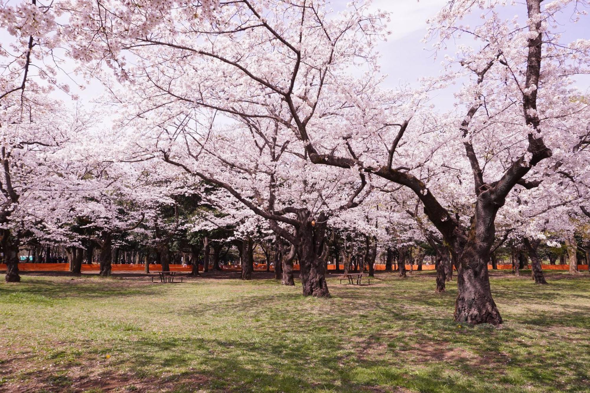 Mimaru Tokyo Shinjuku West — Foto 2